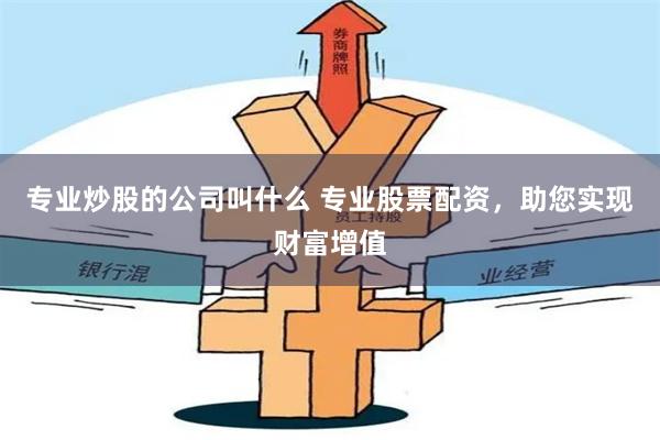 专业炒股的公司叫什么 专业股票配资，助您实现财富增值