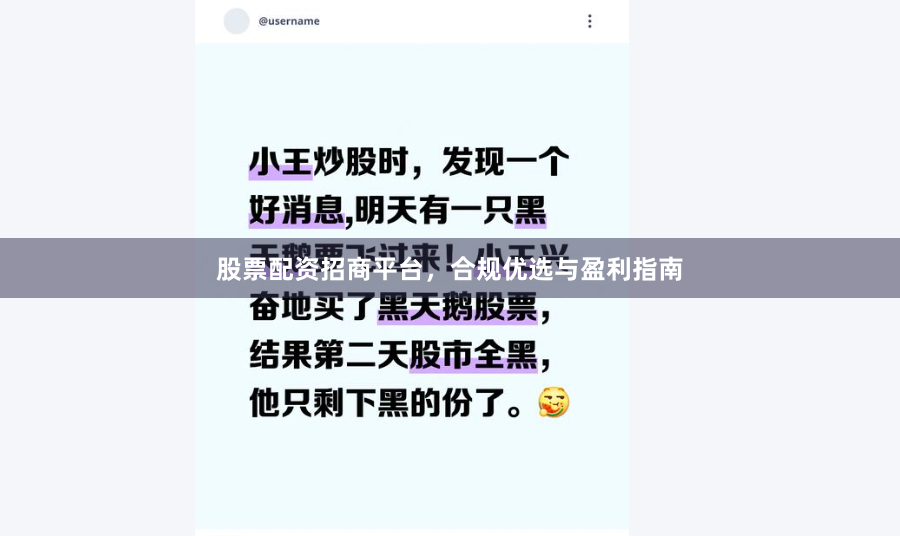 股票配资招商平台，合规优选与盈利指南
